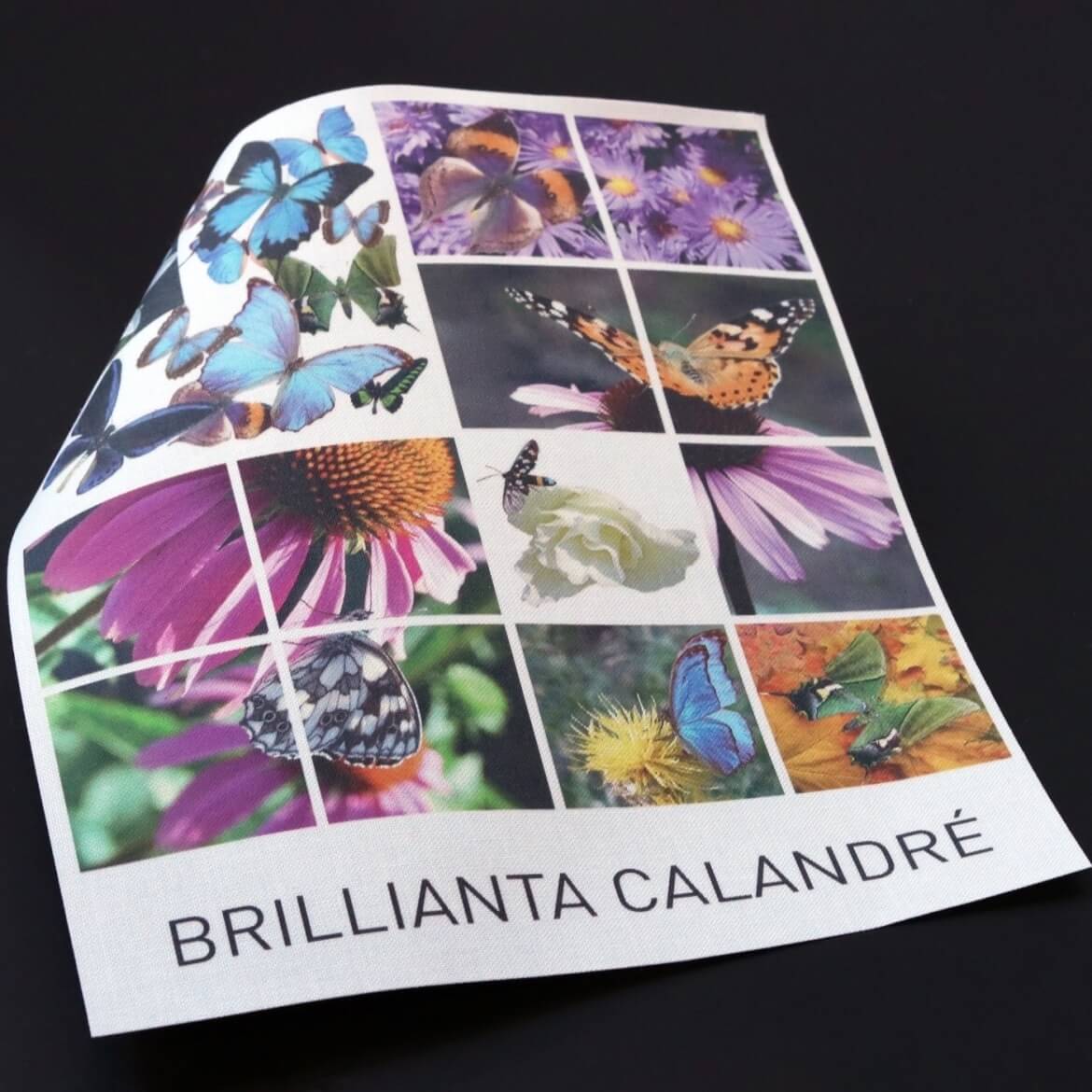Brillianta-calandre-web_1170.jpg