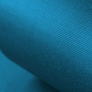 regina-book-cloth